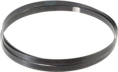 Starrett - 10 TPI, 7' 9" Long x 5/8" Wide x 0.032" Thick, Welded Band Saw Blade - Carbon Steel, Toothed Edge, Raker Tooth Set, Flexible Back, Contour Cutting - Exact Tool & Supply