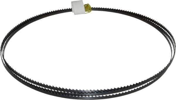Starrett - 6 TPI, 7' 9-1/2" Long x 1/4" Wide x 0.025" Thick, Welded Band Saw Blade - Carbon Steel, Toothed Edge, Raker Tooth Set, Flexible Back, Contour Cutting - Exact Tool & Supply