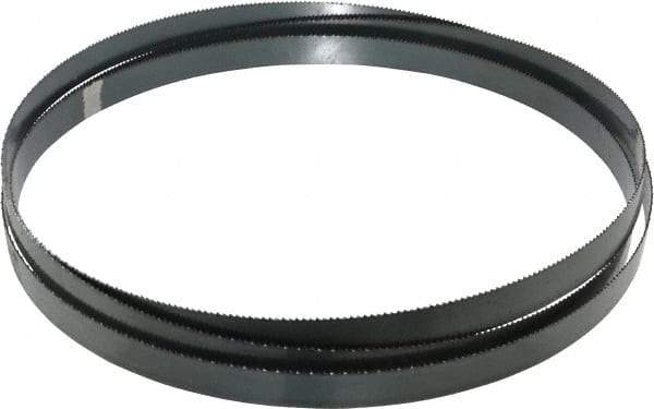 Starrett - 10 TPI, 9' Long x 3/4" Wide x 0.032" Thick, Welded Band Saw Blade - Carbon Steel, Toothed Edge, Raker Tooth Set, Flexible Back, Contour Cutting - Exact Tool & Supply