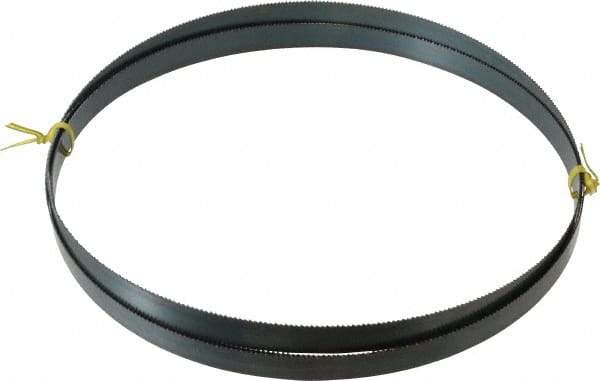 Starrett - 10 TPI, 9' 7-1/2" Long x 3/4" Wide x 0.032" Thick, Welded Band Saw Blade - Carbon Steel, Toothed Edge, Raker Tooth Set, Flexible Back, Contour Cutting - Exact Tool & Supply