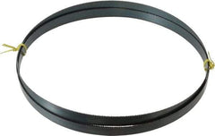 Starrett - 10 TPI, 9' 7-1/2" Long x 3/4" Wide x 0.032" Thick, Welded Band Saw Blade - Carbon Steel, Toothed Edge, Raker Tooth Set, Flexible Back, Contour Cutting - Exact Tool & Supply