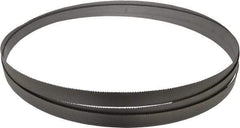 Starrett - 10 to 14 TPI, 10' 10-1/2" Long x 3/4" Wide x 0.035" Thick, Welded Band Saw Blade - Bi-Metal, Toothed Edge, Raker Tooth Set, Contour Cutting - Exact Tool & Supply