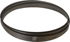 Starrett - 10 to 14 TPI, 14' 8" Long x 3/4" Wide x 0.035" Thick, Welded Band Saw Blade - Bi-Metal, Toothed Edge, Raker Tooth Set, Contour Cutting - Exact Tool & Supply