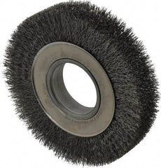 Weiler - 6" OD, 2" Arbor Hole, Crimped Steel Wheel Brush - 1-1/4" Face Width, 1-1/8" Trim Length, 0.0104" Filament Diam, 6,000 RPM - Exact Tool & Supply