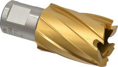 Hougen - 1-1/16" Diam x 1" Deep High Speed Steel Annular Cutter - Exact Tool & Supply