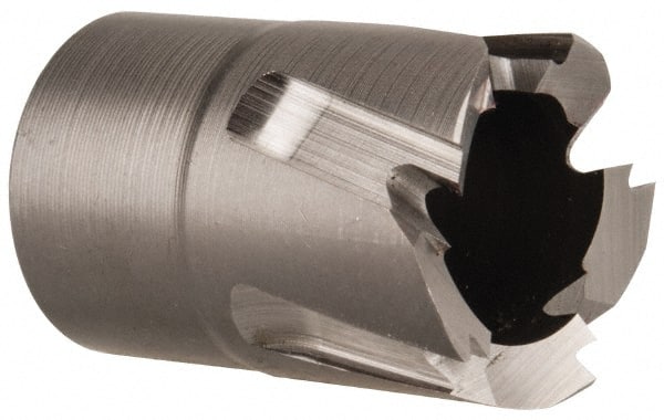 Hougen - 14mm Diam x 1/4" Deep High Speed Steel Annular Cutter - Exact Tool & Supply