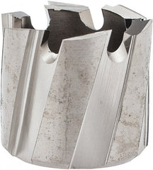 Hougen - 17mm Diam x 1/4" Deep High Speed Steel Annular Cutter - Exact Tool & Supply
