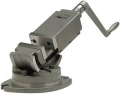 Wilton - 6" Jaw Width, 6" Jaw Opening Capacity, 2-Way Angle Swivel Machine Vise - Manual Operation, 1 Station, 22-1/4" Long x 10-1/4" High x 2" Deep, Alloy Steel - Exact Tool & Supply