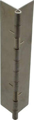 Value Collection - 5" Long x 2" Wide x 0.05" Thick, Spring Hinge - Stainless Steel - Exact Tool & Supply