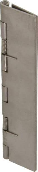 Value Collection - 5" Long x 2" Wide x 0.05" Thick, Spring Hinge - Stainless Steel - Exact Tool & Supply
