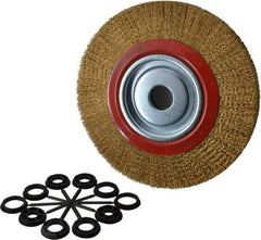 Value Collection - 10" OD, 1-1/4" Arbor Hole, Crimped Brass-Coated Steel Wheel Brush - 1" Face Width, 1-15/32" Trim Length, 0.012" Filament Diam, 3,000 RPM - Exact Tool & Supply