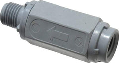 Specialty Mfr - 1/4" PVC Check Valve - Inline, MNPT x FNPT, 125 WOG - Exact Tool & Supply
