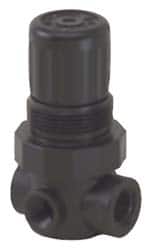 Norgren - 1/4 NPT, 150 Max Supply Pressure, Plastic Miniature Regulator, Pressure Gauge Not Included - Exact Tool & Supply