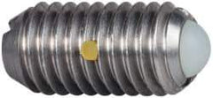 Vlier - M8x1.25, 5mm Ball Diam, 16mm Body Length, 1.5mm Max Ball Reach, Threaded Ball Plunger - Stainless Steel Body, Nylon Ball, 9 Lb Initial End Force, 13.49 Lb Final End Force, Locking Element - Exact Tool & Supply