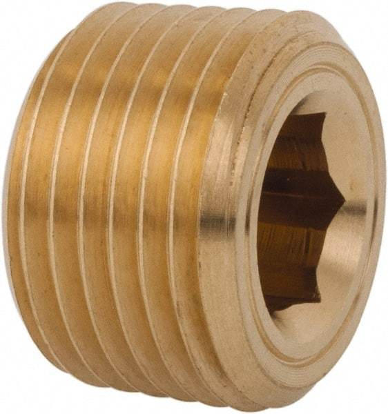 Legris - 1/2 Male Thread, Brass Industrial Pipe Hollow Hex Plug - MBSPT, 3,626 psi - Exact Tool & Supply
