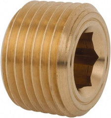 Legris - 1/2 Male Thread, Brass Industrial Pipe Hollow Hex Plug - MBSPT, 3,626 psi - Exact Tool & Supply