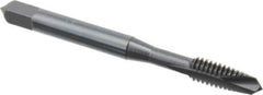 OSG - #12-24 UNC, 2 Flute, Oxide Finish, High Speed Steel Spiral Point Tap - Plug Chamfer, Right Hand Thread, 2-3/8" OAL, 15/16" Thread Length, 0.22" Shank Diam, 2B Class of Fit, Series 288 - Exact Tool & Supply