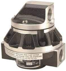 GPI - 1/2" FNPT Port Oval Gear Flowmeter - 800 Max psi, 0.3 to 7.9 GPM, Stainless Steel - Exact Tool & Supply
