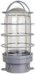 Cooper Crouse-Hinds - 120 Volt, 200 Watt, Incandescent Hazardous Location Light Fixture - Vaporproof, Corrosion & Heat Resistant, Aluminum Housing, 4-1/2" Wide x 7-1/2" High - Exact Tool & Supply
