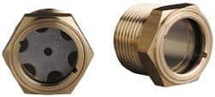 Trico - 2" Sight Diam, 1-1/4" Thread, 1-5/16" OAL, Viewport Sight Glass & Flow Sight - 1-3/4" Hex Head, Without Baffle - Exact Tool & Supply