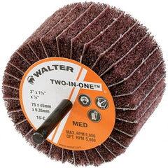 WALTER Surface Technologies - Mounted Flap Wheel - Exact Tool & Supply