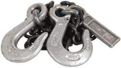 Lift-All - 5' Long x 3-1/2" Wide, 4,300 Lb Basket Capacity, Alloy Steel Web Sling - 4,300 Lb Choker Capacity, SSS Chain Sling, 9/32" Diam Chain, Natural, Single Style - Exact Tool & Supply