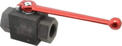 HYDAC - 1" Pipe, Carbon Steel Standard Ball Valve - 1 Piece, FNPT x FNPT Ends, Lever Handle, 6,000 WOG - Exact Tool & Supply