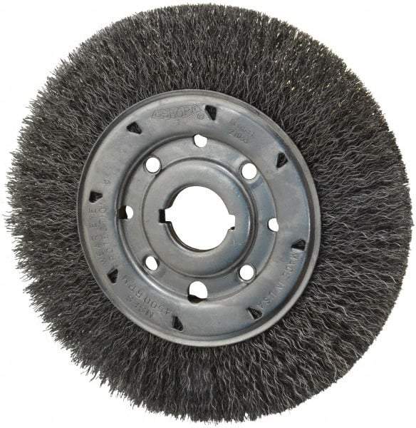 Osborn - 8" OD, 1-1/4" Arbor Hole, Crimped Steel Wheel Brush - 5/8" Face Width, 1-1/2" Trim Length, 0.014" Filament Diam, 4,500 RPM - Exact Tool & Supply