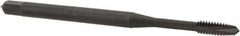 OSG - #4-40 UNC, 2 Flute, Oxide Finish, Vanadium High Speed Steel Spiral Point Tap - Plug Chamfer, Right Hand Thread, 56mm OAL, 9/16" Thread Length, 0.141" Shank Diam, 2B Class of Fit, Series 250 - Exact Tool & Supply