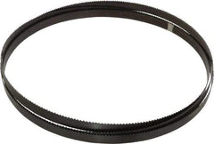 Starrett - 6 TPI, 10' 10-1/2" Long x 3/4" Wide x 0.032" Thick, Welded Band Saw Blade - Carbon Steel, Toothed Edge, Raker Tooth Set, Flexible Back, Contour Cutting - Exact Tool & Supply