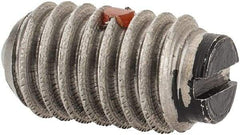Gibraltar - 5/16-18, 0.156" Ball Diam, 0.578" Body Length, 0.04" Max Ball Reach, Threaded Ball Plunger - Stainless Steel Body, Nylon Ball, 4 Lb Initial End Force, 9 Lb Final End Force, Locking Element - Exact Tool & Supply