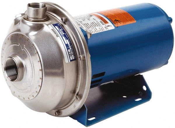 Goulds Pumps - 230 Volt 15.2 Amp 3 hp 1 Phase ODP 316L Stainless Steel AC Straight Pump - Exact Tool & Supply