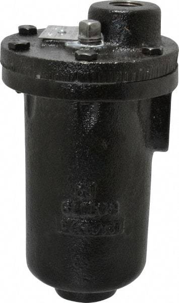 Hoffman Speciality - 3/4" NPT Inlet, 1/2" NPT Outlet, 250 Max psi, Cast Iron Water Vent - 350 Max Hydrostatic psi, 300°F Max - Exact Tool & Supply