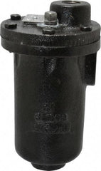Hoffman Speciality - 3/4" NPT Inlet, 1/2" NPT Outlet, 250 Max psi, Cast Iron Water Vent - 350 Max Hydrostatic psi, 300°F Max - Exact Tool & Supply