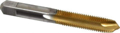 Hertel - M10x1.25 Metric Fine, 3 Flute, TiN Finish, High Speed Steel Spiral Point Tap - Plug Chamfer, Right Hand Thread, 2-15/16" OAL, 1-1/4" Thread Length, 0.381" Shank Diam - Exact Tool & Supply