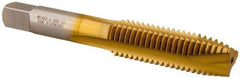 Hertel - M14x2.00 Metric Coarse, 3 Flute, TiN Finish, High Speed Steel Spiral Point Tap - Plug Chamfer, Right Hand Thread, 3-19/32" OAL, 1-21/32" Thread Length, 0.429" Shank Diam - Exact Tool & Supply