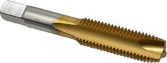 Hertel - M16x2.00 Metric Coarse, 3 Flute, TiN Finish, High Speed Steel Spiral Point Tap - Plug Chamfer, Right Hand Thread, 3-13/16" OAL, 1-13/16" Thread Length, 0.48" Shank Diam - Exact Tool & Supply