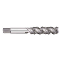Titan USA - Spiral Flute Taps; Thread Size (Inch): 3/4-10 ; Chamfer: Semi-Bottoming ; Class of Fit: 2B/3B ; Thread Limit: H3 ; Number of Flutes: 4 ; Material: High Speed Steel - Exact Tool & Supply