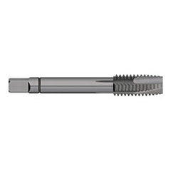 Titan USA - Spiral Point Taps; Thread Size (mm): M4x0.70 ; Number of Flutes: 3 ; Chamfer: Plug ; Class of Fit: 6H ; Thread Limit: D3 ; Finish/Coating: Steam Oxide - Exact Tool & Supply