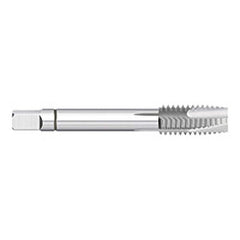 Titan USA - Spiral Point Taps; Thread Size (Inch): 1/4-28 ; Number of Flutes: 3 ; Chamfer: Plug ; Class of Fit: 2B/3B ; Thread Limit: H3 ; Finish/Coating: Uncoated - Exact Tool & Supply