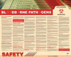 NMC - 30" Wide x 24" High Laminated Paper Bloodborne Pathogens Information Poster - English - Exact Tool & Supply