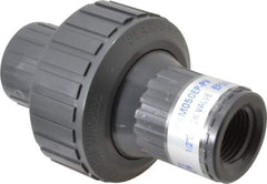 Plast-O-Matic - 1/2" PVC Check Valve - Inline, FNPT x FNPT, 150 WOG - Exact Tool & Supply