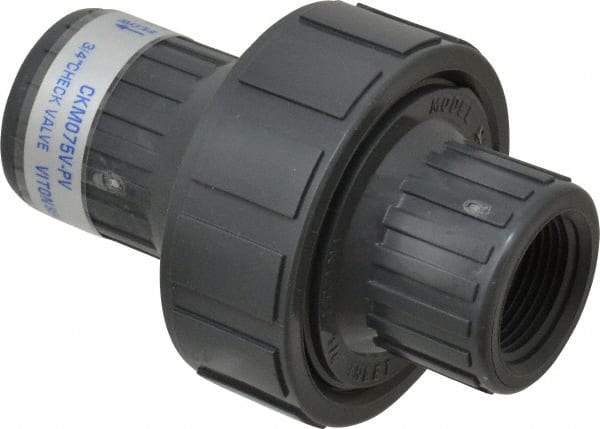 Plast-O-Matic - 3/4" PVC Check Valve - Inline, FNPT x FNPT, 150 WOG - Exact Tool & Supply
