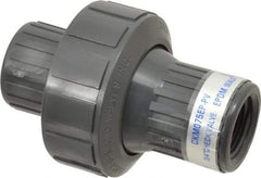 Plast-O-Matic - 3/4" PVC Check Valve - Inline, FNPT x FNPT, 150 WOG - Exact Tool & Supply