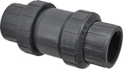 Plast-O-Matic - 2" PVC Check Valve - Inline, FNPT x FNPT, 150 WOG - Exact Tool & Supply