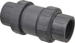 Plast-O-Matic - 2" PVC Check Valve - Inline, FNPT x FNPT, 150 WOG - Exact Tool & Supply