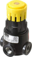 Parker - 1/8 NPT Port, 13 CFM, Zinc Miniature Regulator - 2 to 125 psi Range, 300 Max psi Supply Pressure, 1/8" Gauge Port Thread, 1.65" Wide x 2.88" High - Exact Tool & Supply