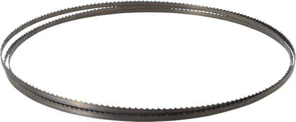 Starrett - 6 TPI, 7' 9" Long x 1/4" Wide x 0.025" Thick, Welded Band Saw Blade - Carbon Steel, Toothed Edge, Raker Tooth Set, Flexible Back, Contour Cutting - Exact Tool & Supply