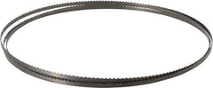 Starrett - 6 TPI, 7' 9" Long x 1/4" Wide x 0.025" Thick, Welded Band Saw Blade - Carbon Steel, Toothed Edge, Raker Tooth Set, Flexible Back, Contour Cutting - Exact Tool & Supply