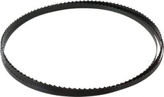 Starrett - 4 TPI, 11' 9" Long x 3/8" Wide x 0.025" Thick, Welded Band Saw Blade - Carbon Steel, Toothed Edge, Raker Tooth Set, Flexible Back, Contour Cutting - Exact Tool & Supply